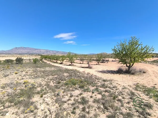 Spot image