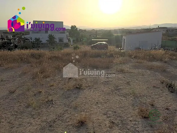 Spot image