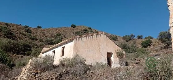 Spot image