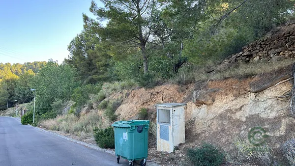 Spot image