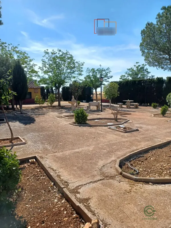 Spot image