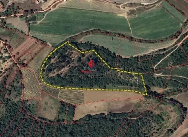 Spot image