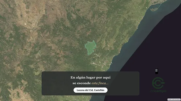 Spot image