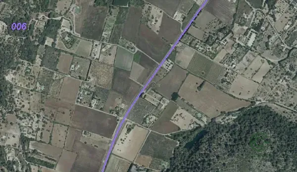 Spot image