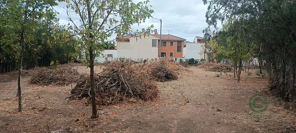 Spot image