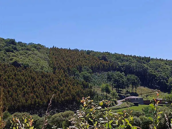 Finca rústica de 0,39 ha en venta en Pastoriza, Lugo