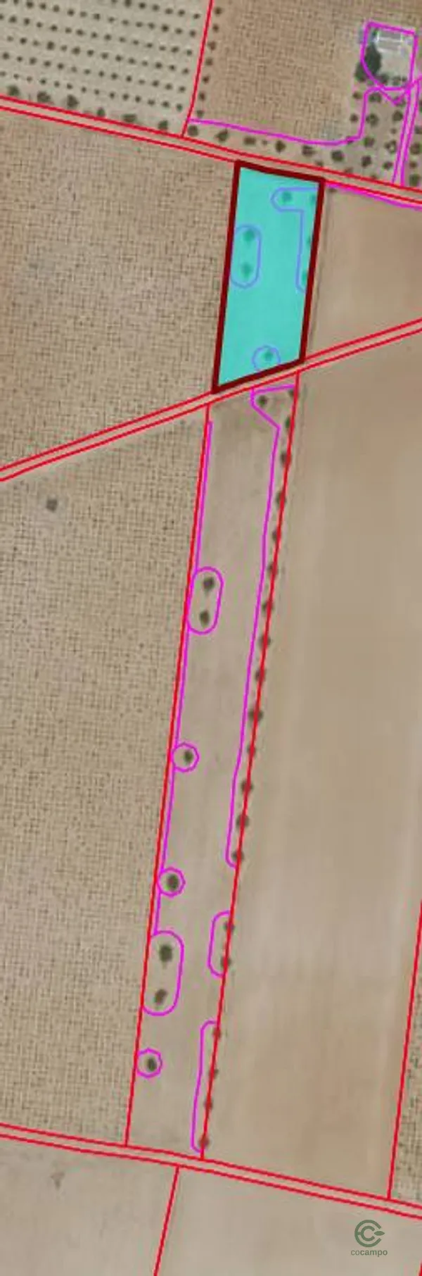 Spot image