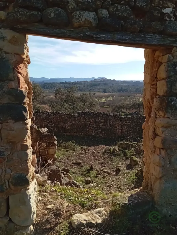 Spot image