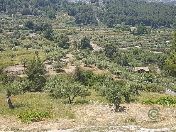 Finca agrícola de 0,61 ha en venta en Alicante