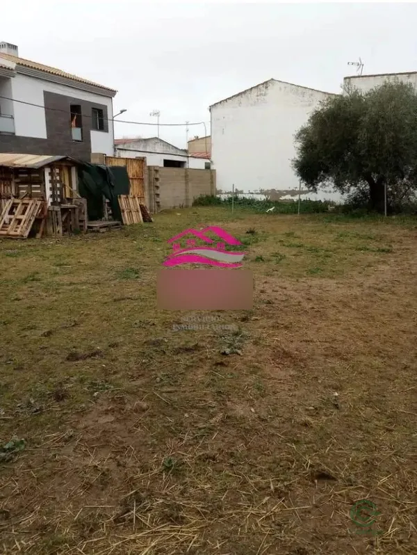 Spot image