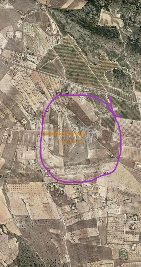 Spot image