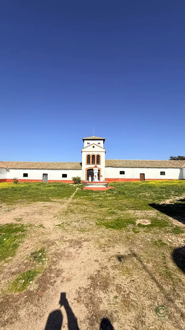 Spot image