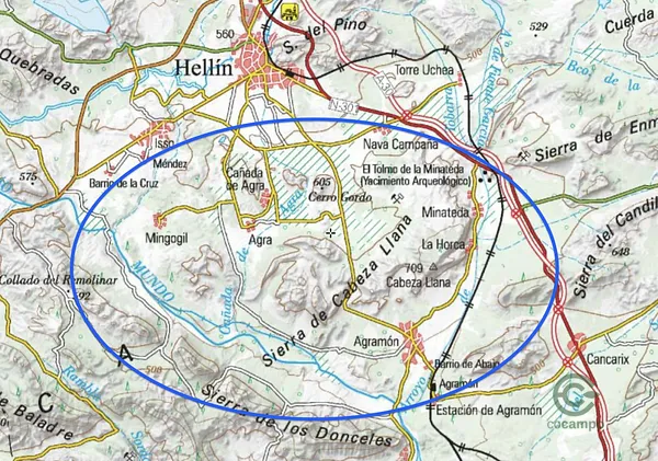 Spot image
