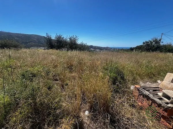 Recreation property of 1,16 ha for sale in Alicante