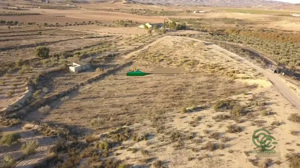 Spot image