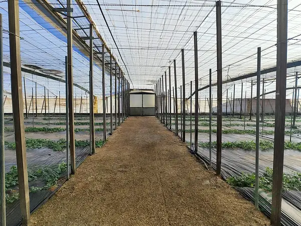 Finca agrícola de 2,4 ha en venta en Almería