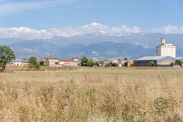 Spot image