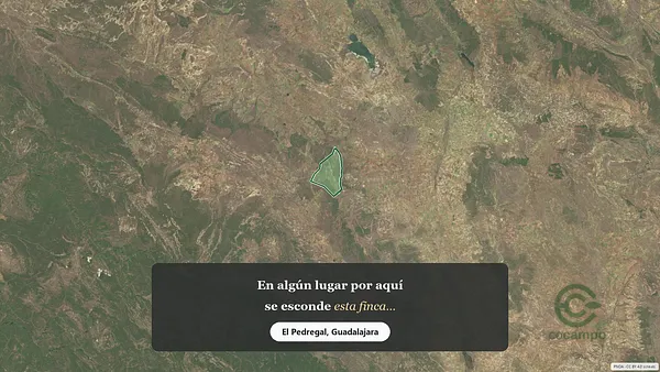 Spot image
