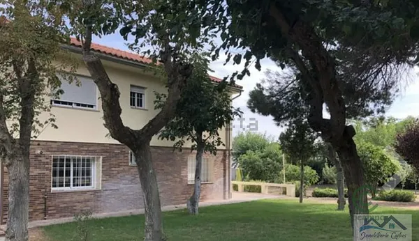 Spot image