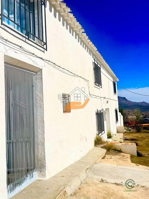 Spot image