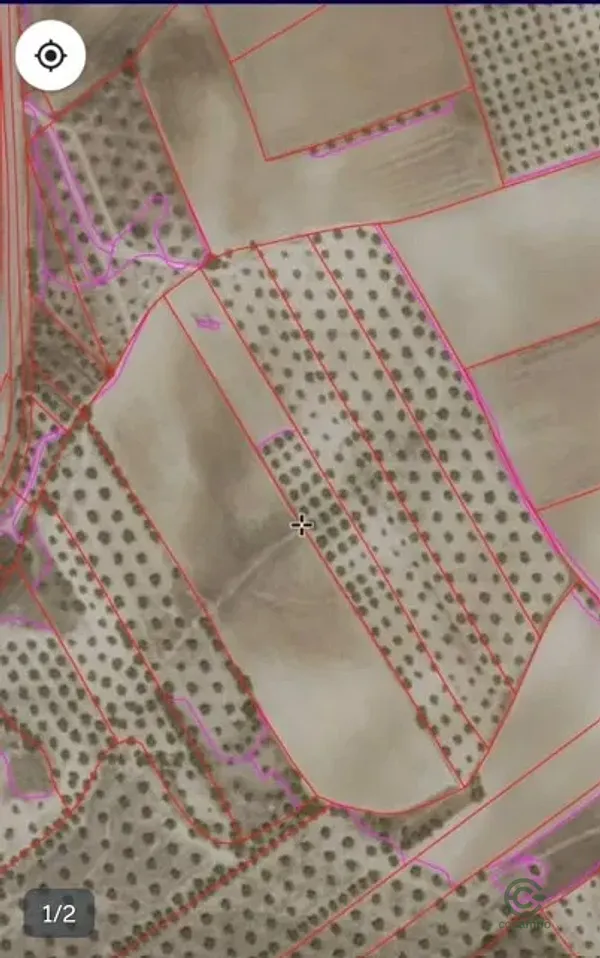 Spot image