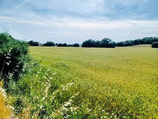 Finca agrícola de 0,5 ha en venta en Baleares