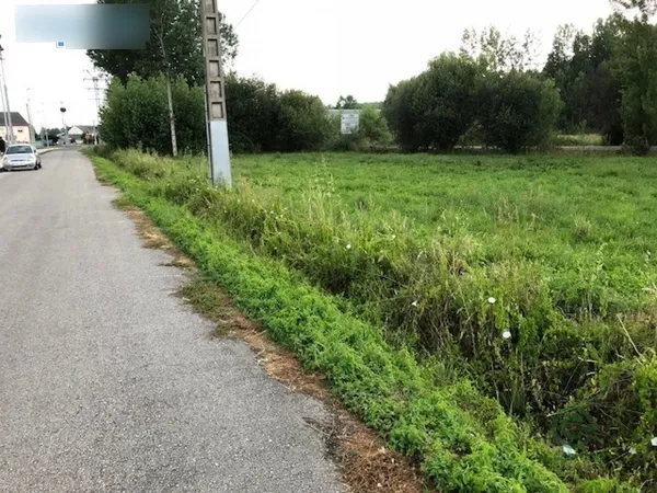 Spot image