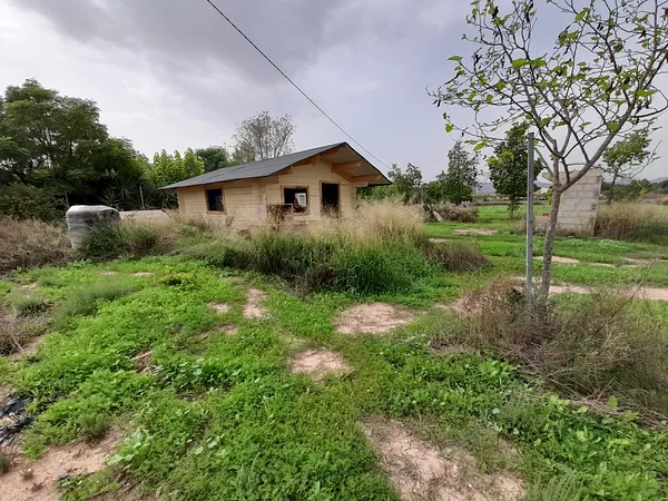 Finca rústica de 0,18 ha en venta en Novelda, Alicante