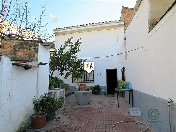 Spot image