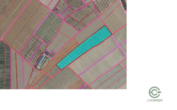 Spot image