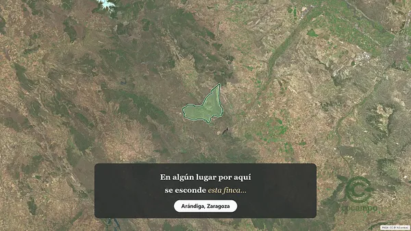 Spot image