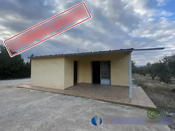 Spot image