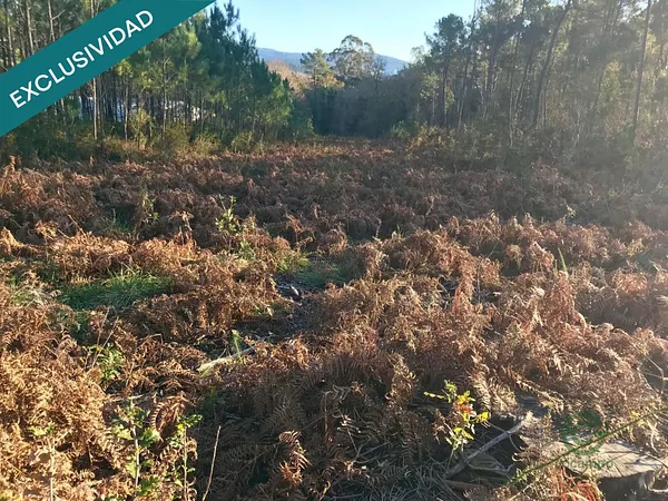 Terreno urbano de 0,1354 ha en venta en Noia, La coruña
