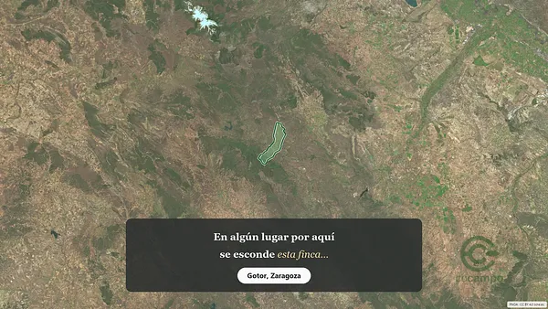 Spot image