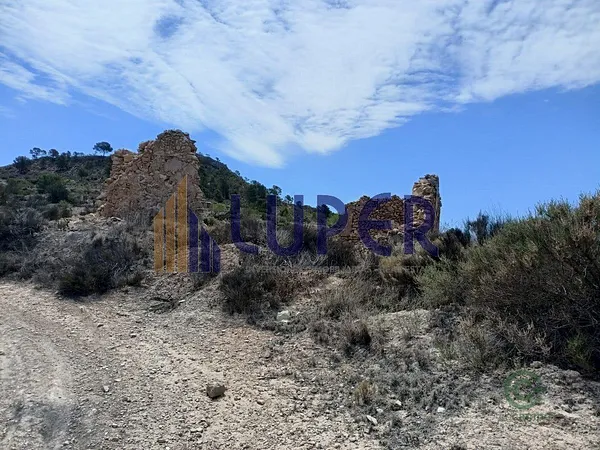 Spot image