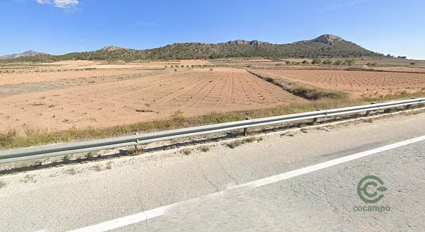 Spot image