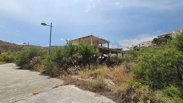 Spot image