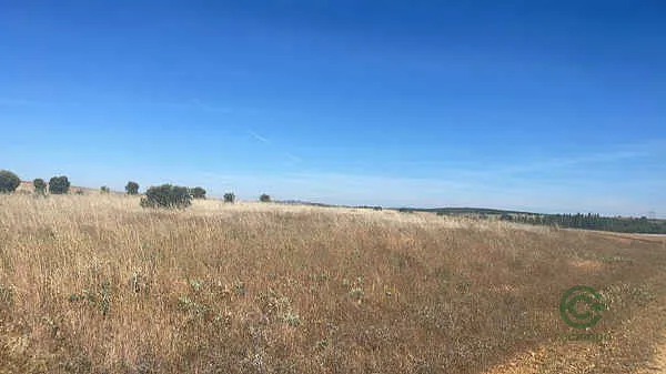 Finca rústica de 1,18 ha en venta en Granja de Moreruela, Zamora