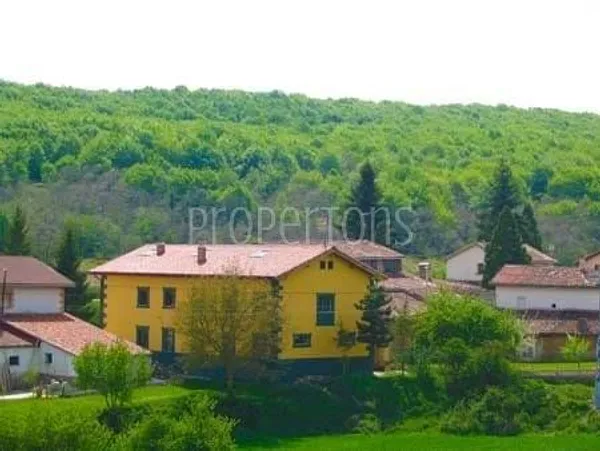 Spot image