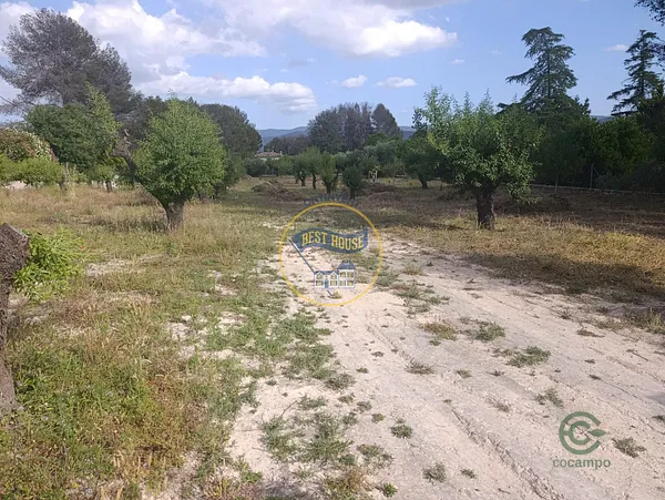 Spot image