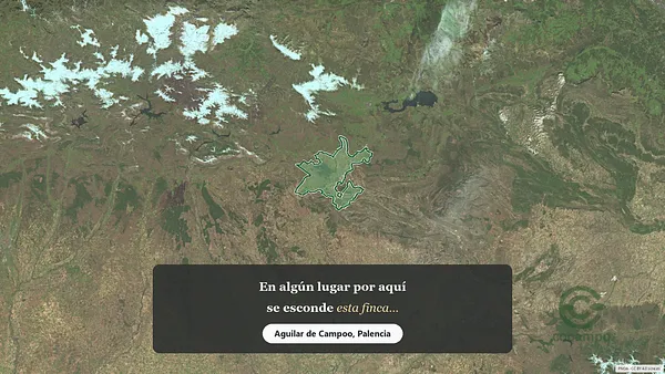 Spot image