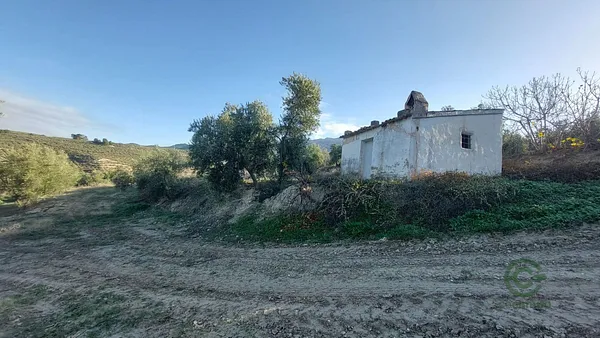 Spot image