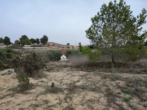Spot image
