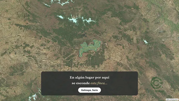 Spot image