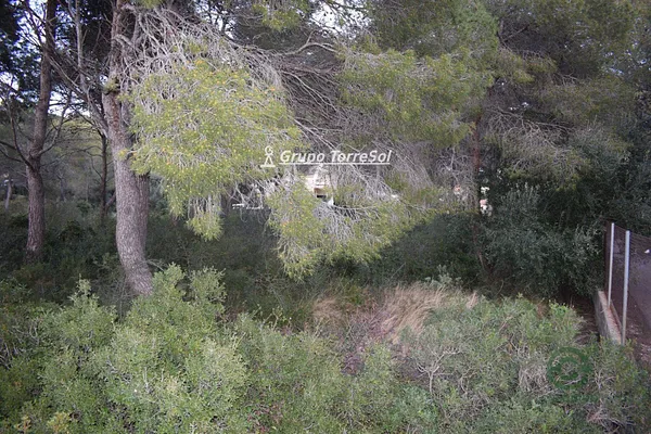 Spot image