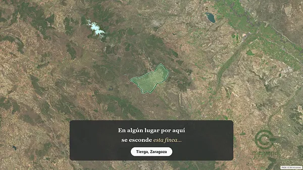 Spot image