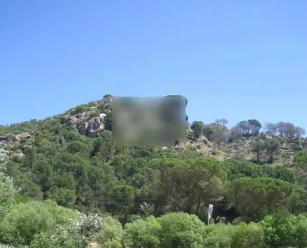Spot image