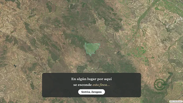 Spot image
