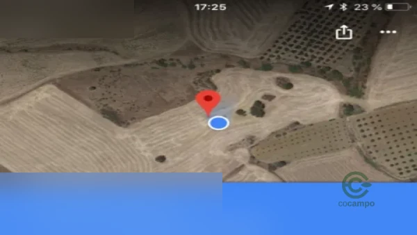 Spot image