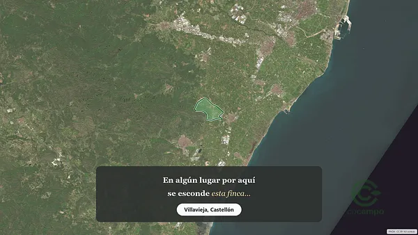 Spot image